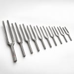 Welch Type Tuning Fork